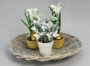 tt4.jpg