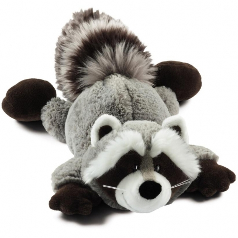raccoon.jpg